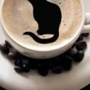 ГАДАНИЕ НА КОФЕЙНОЙ ГУЩЕ.