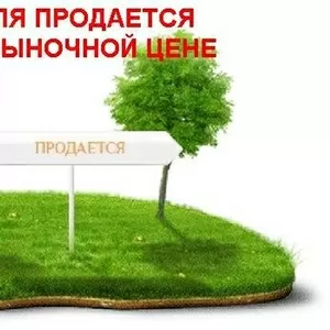 Лидерам крупных сетевых структур и сетевикам различных компаний на Укр