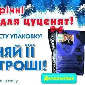 Корм для щенков ПРОФОРМАНС - новогодние подарки для щенков