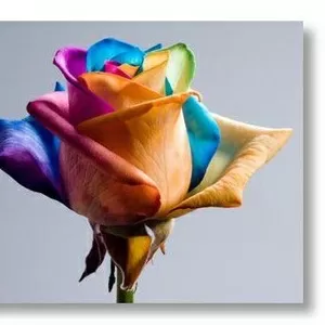  Решение психол-х вопросов 50 грн по Скайпу