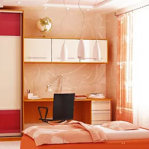 шкафы купе под заказ недорого