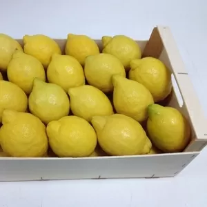 Лимоны из Испании