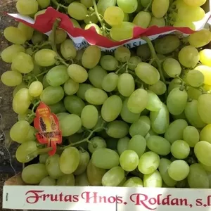 Виноград из Испании