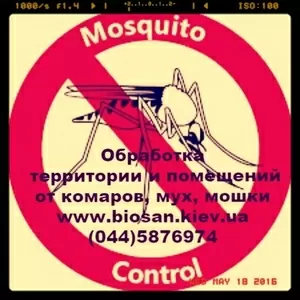 Обробка ділянок від кліщів та комарів