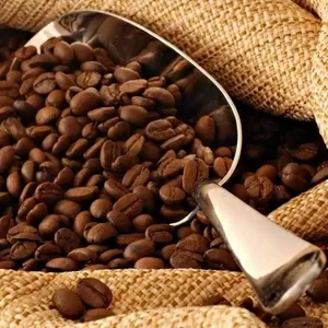 Свежеобжаренный зерновой кофе,  арабика,  робуста средней обжарки