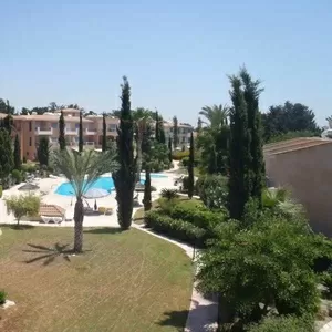 Бизнес и проживание на Северном Кипре