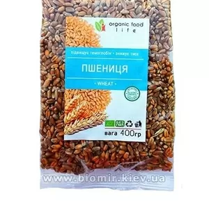 Пшеница озимая органическая Organic food life 400 грамм