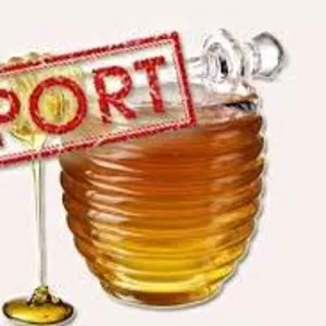 Продам мед на экспорт Европа ,  Америка,  Азия ( export of honey to coun