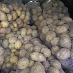 Картопля домашня з доставкою по Києву