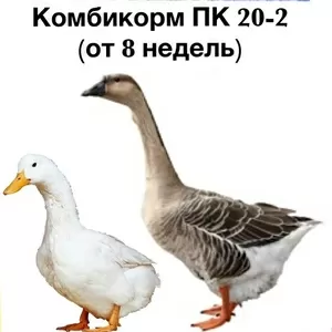 Комбікорм для качок та гусей ПК 20-2 (від 8 тиж. і більше)