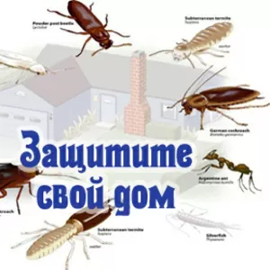 Уничтожение вредных насекомых,  грызунов.