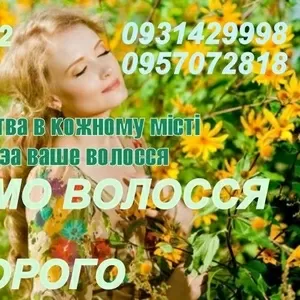 Скупка волос в Киеве. Куплю волосы дорого без посредников. Салон в цен