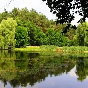 Земельна ділянка,  площа 924 соток,  Київ.