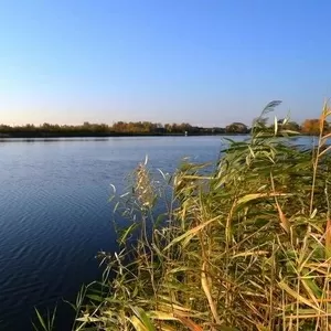 Участок в Осокорках. Газ,  электричество,  асфальт,  Киев.