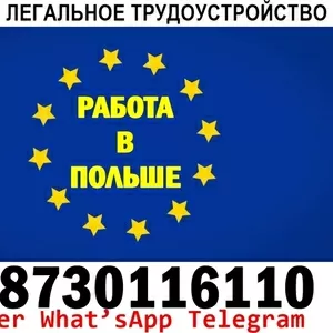 Новые вакансии в Польше для мужчин и женщин. Официально. 