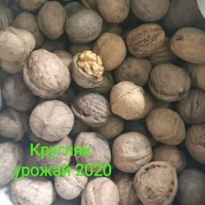 Распродаем по хорошим ценам грецкий орех,  урожай 2020