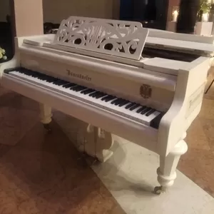 Аренда рояля в Киеве - посуточная и долгосрочная аренда рояля