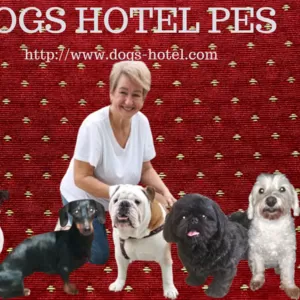 Гостиница для собак в Киеве- передержа животных