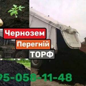 ЧЕРНОЗЕМ. Торф. Перегній. Купить Чернозем в Боисполе