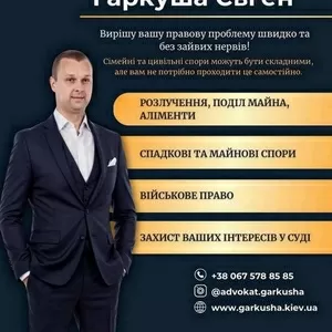 Правова допомога у Києві для сімейних,  цивільних та військових справ.