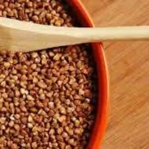 Продаж зерна гречки оптом від 5 тонн