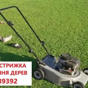 Покіс трави: Київ,  Київська область та Біла Церква. Швидко,  якісно,  до