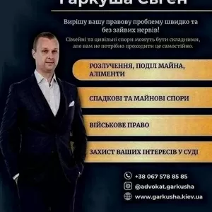 Консультація адвоката в Києві – швидко та конфіденційно.