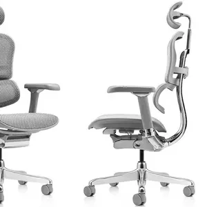 Элитное кресло компьютерное Ergohuman Luxury 2 Grey с доставкой