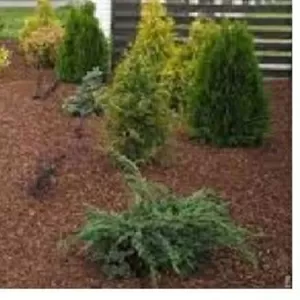 Кора соснова: велика,  середня,  дрібна,  мульча. Декор. Опт та роздріб