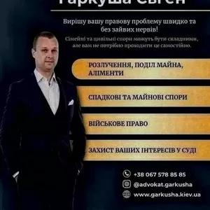 Потрібен адвокат у Києві? Професійна допомога поруч!