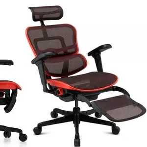 Кресло геймерское Ergohuman Ultra X9 Gaming Legrest Equator - VinCom