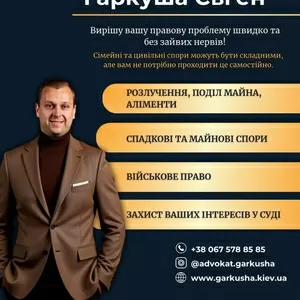 Адвокат у Києві. Сімейне право,  цивільне право,  військове право.