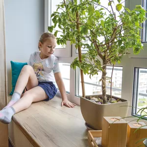 Подоконники деревянные ALBER Альбер коллекция Стандарт