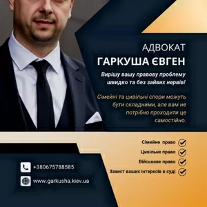 Послуги професійного адвокату у Києві та області