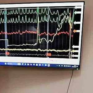 Online навчання поліграфологів - стати експертом поліграфологом