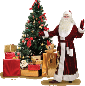 Дед Мороз,  заказ на дом (актеры театра) Оболонь,  Виноградарь, Минский м