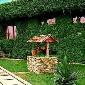 Чистим колодцы питьевые.