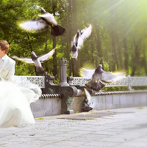 Стильное свадебное фото и не только...