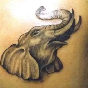 Тату. Татуаж. Тату хной. История успеха.