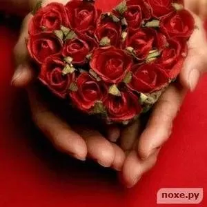 Создадим для Вас сайт-страничку всего за 250 грн.