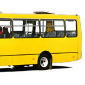 Пассажирские перевозки автобусами 