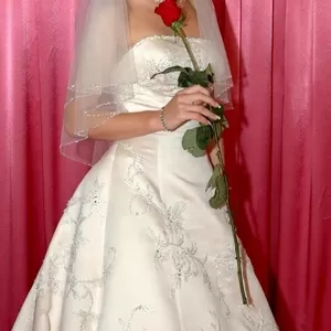 Фото Видеосъемка,  Монтаж,  Работа с Видео