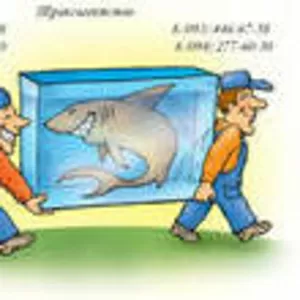 Грузчики в Донецке