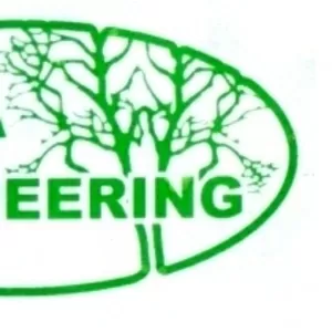 Посадка крупномеров.  Ландшафтное проектирование. 