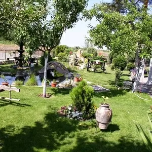 Озеленение