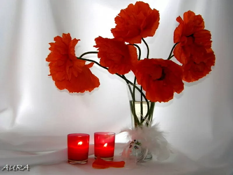 Реферат,  курсовая,  контрольная,  дипломная на заказ