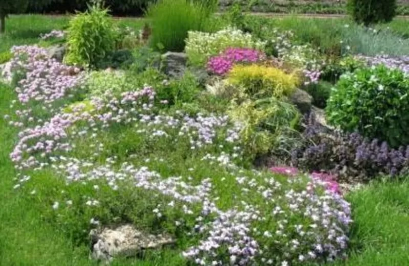 Ландшафтный дизайн Вашего сада. Все виды ландшафтных работ. 3