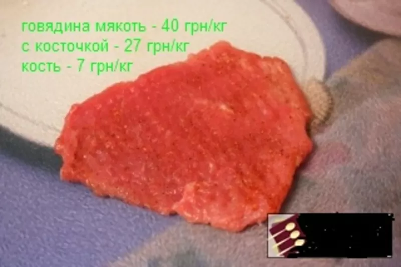 Мясо говядины 2