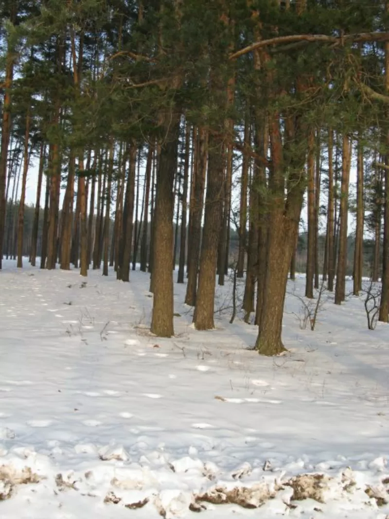 Киевская обл., Тетерев,  участок 0,  13 га под строительство,  5500 у.е.