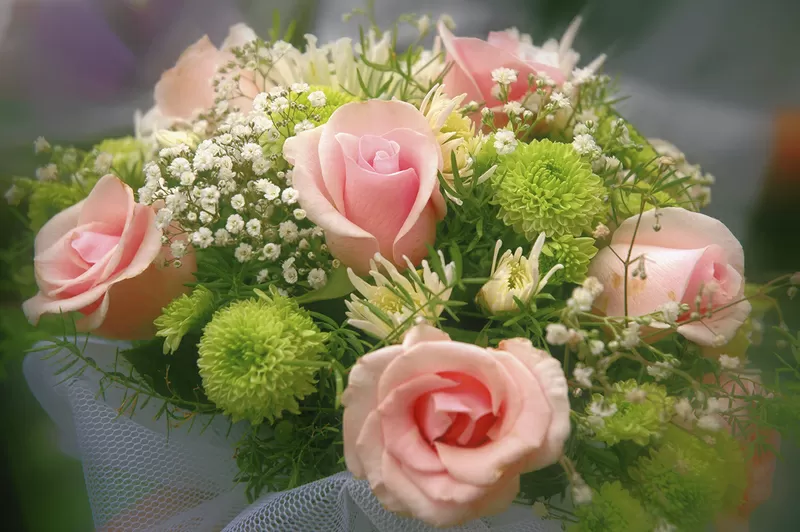 Создание фильмов из Вашего фото- и видео-архива